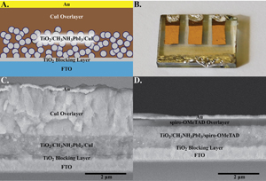 Organometal Halide Perovskites for Transformative Photovoltaics